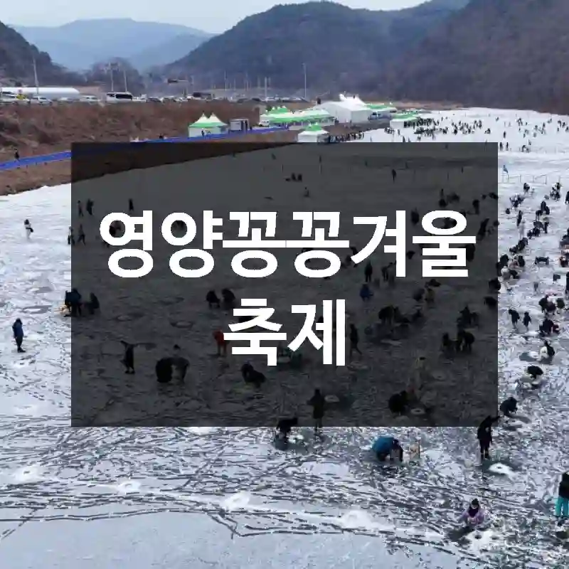 영양꽁꽁겨울축제