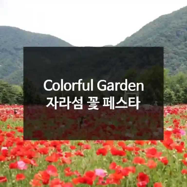 Colorful Garden 자라섬 꽃 페스타