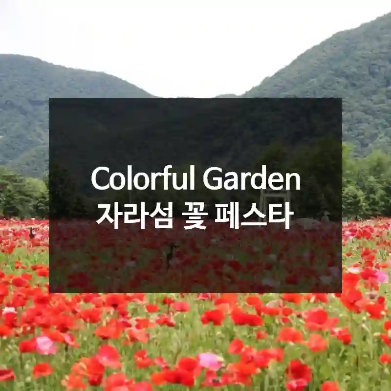Colorful Garden 자라섬 꽃 페스타