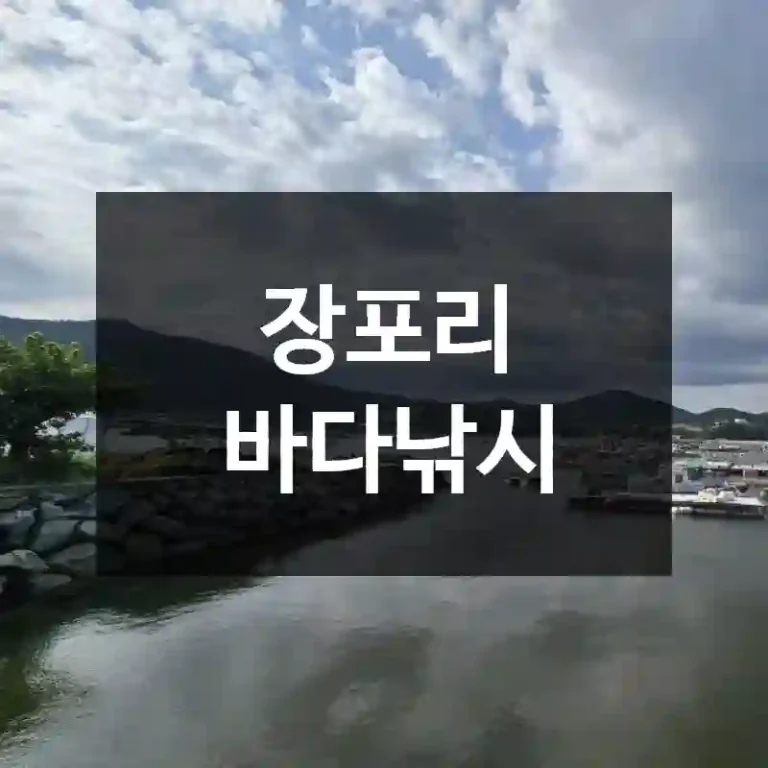 장포리 바다낚시