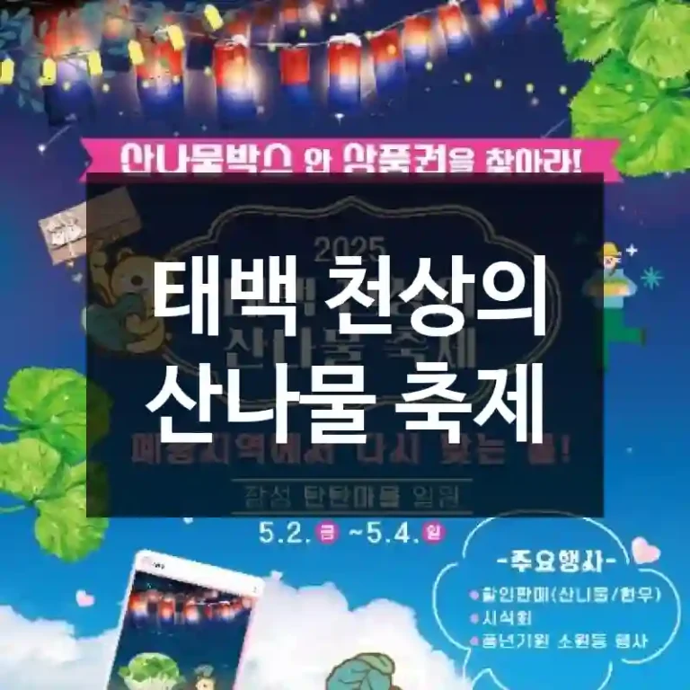 태백 천상의 산나물 축제