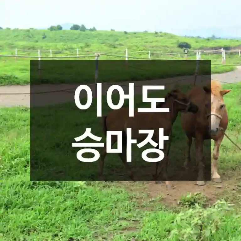 이어도 승마장