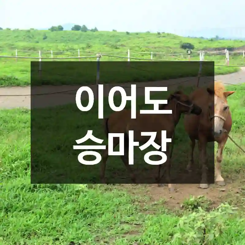 이어도 승마장