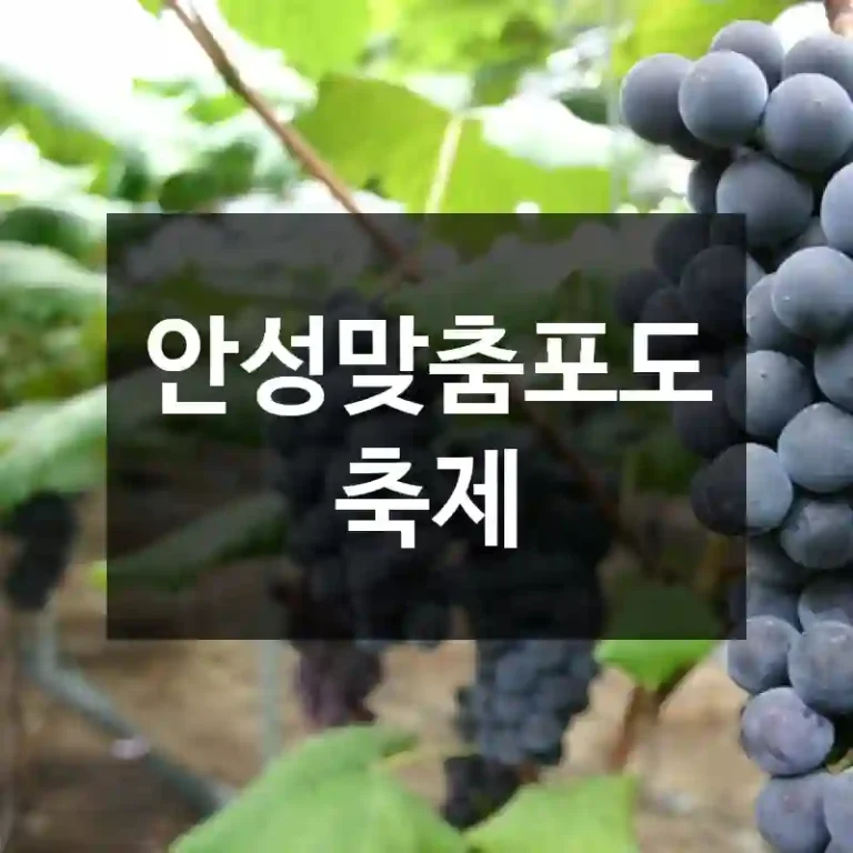 안성맞춤포도축제