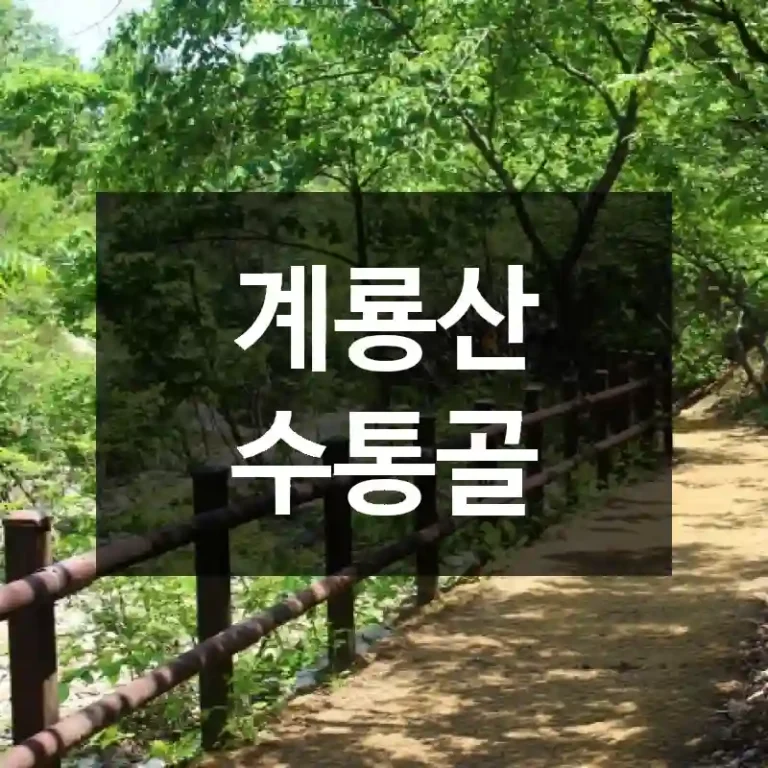 계룡산 수통골