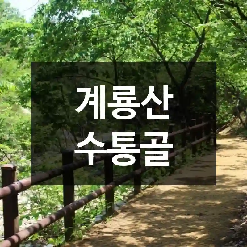 계룡산 수통골