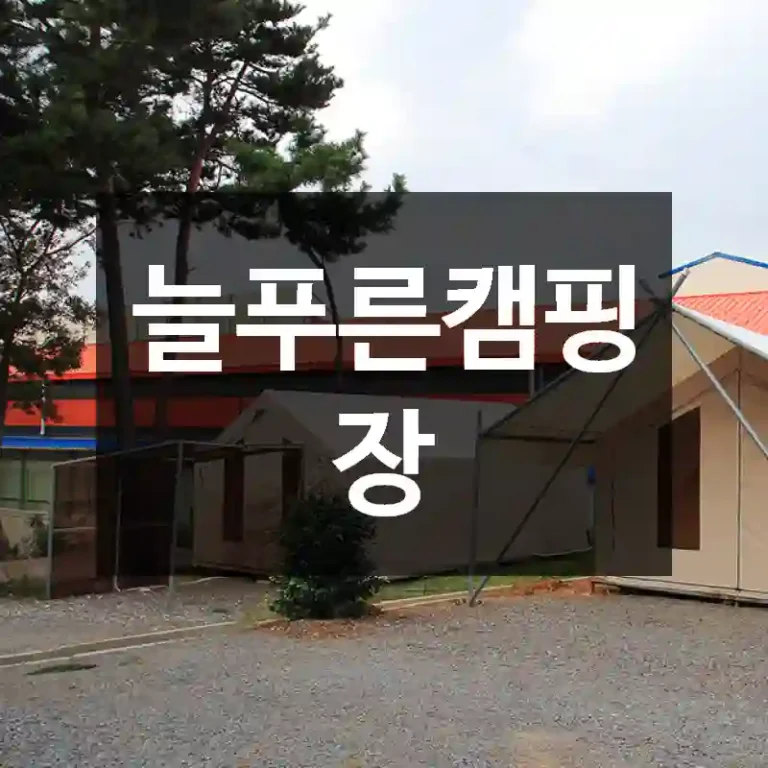 늘푸른캠핑장