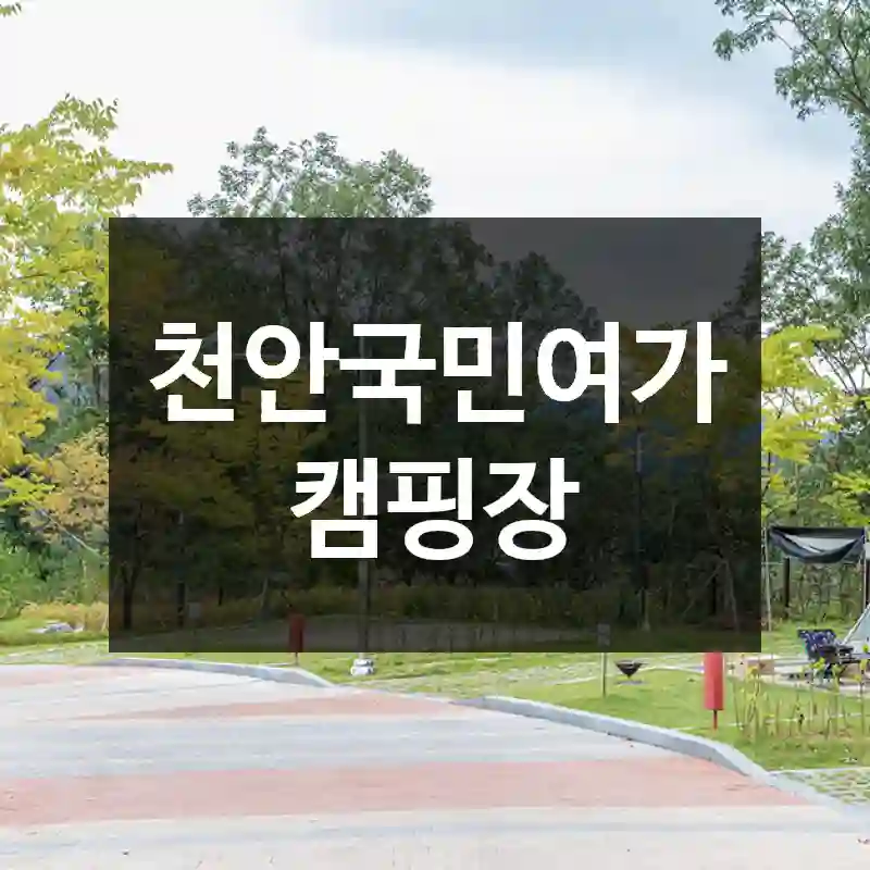 천안국민여가캠핑장