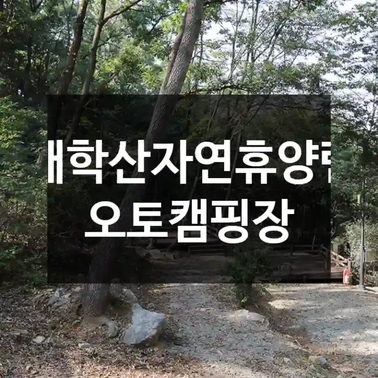 태학산자연휴양림 오토캠핑장