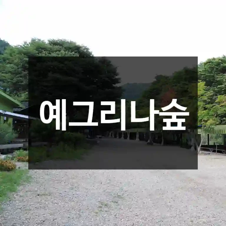 예그리나숲