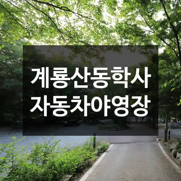 계룡산동학사자동차야영장