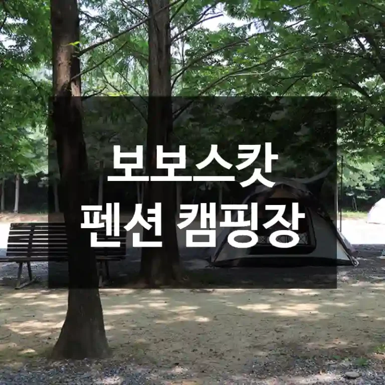 보보스캇 펜션 캠핑장