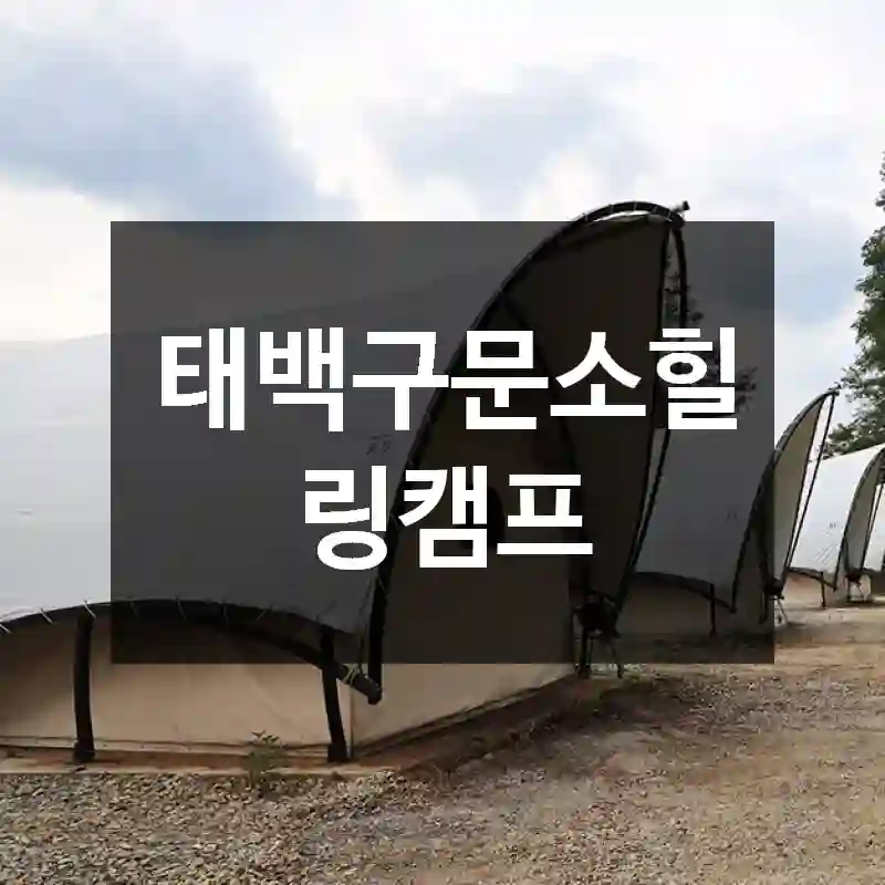 태백구문소힐링캠프
