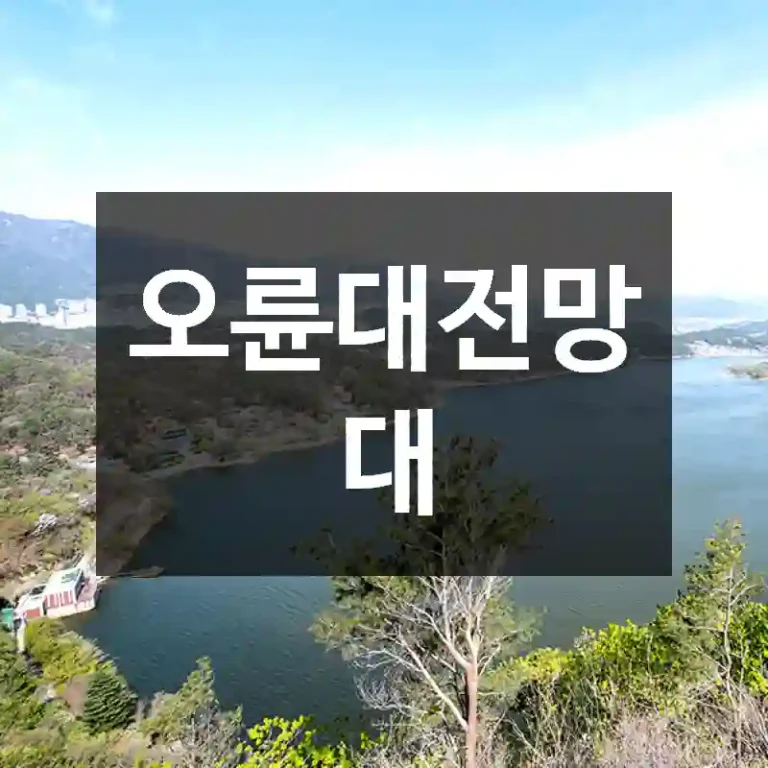 오륜대전망대