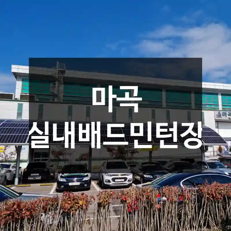 마곡 실내배드민턴장