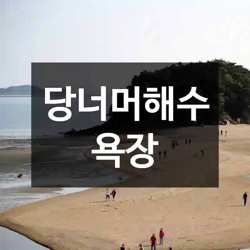 당너머해수욕장