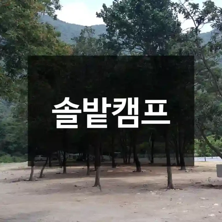 솔밭캠프