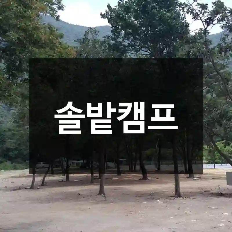 솔밭캠프