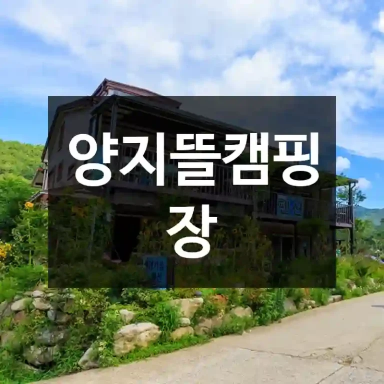 양지뜰캠핑장