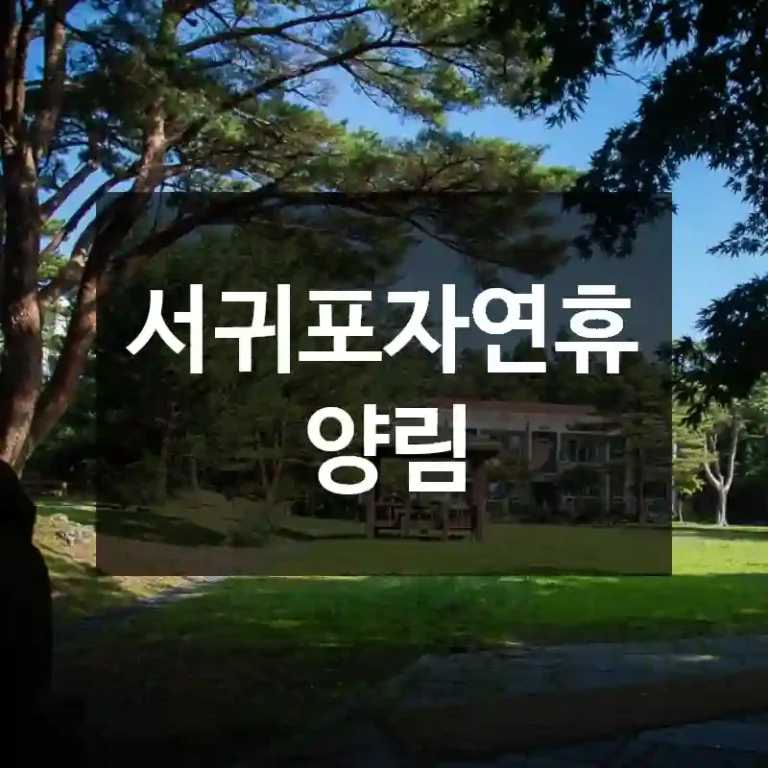 서귀포자연휴양림