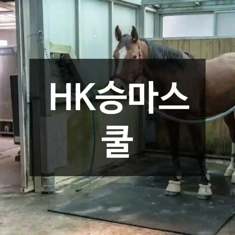 HK승마스쿨