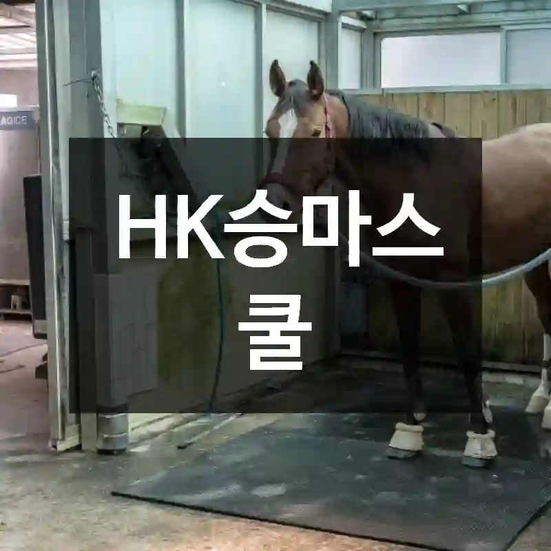 HK승마스쿨