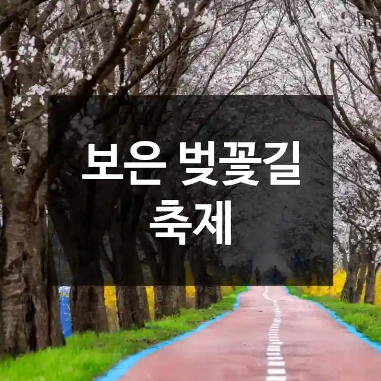 보은 벚꽃길 축제