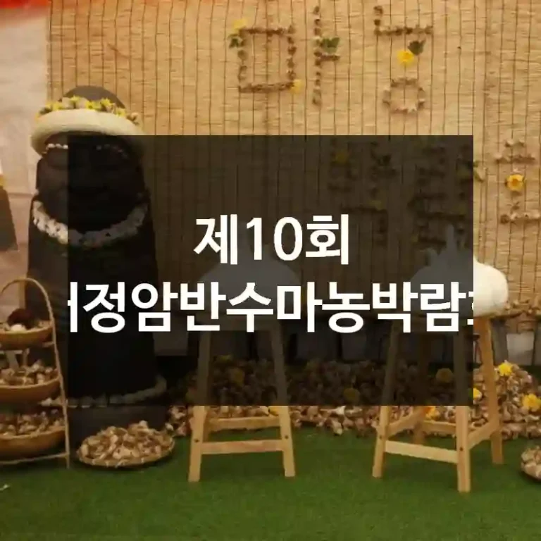 제10회 대정암반수마농박람회