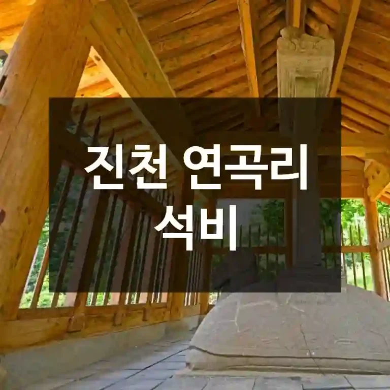 진천 연곡리 석비