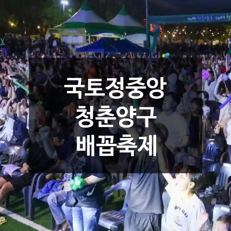 국토정중앙 청춘양구 배꼽축제