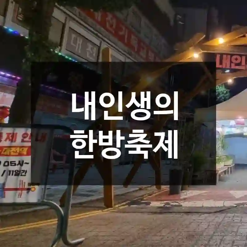 내인생의 한방축제