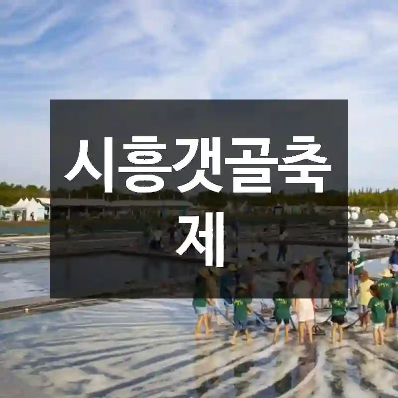 시흥갯골축제