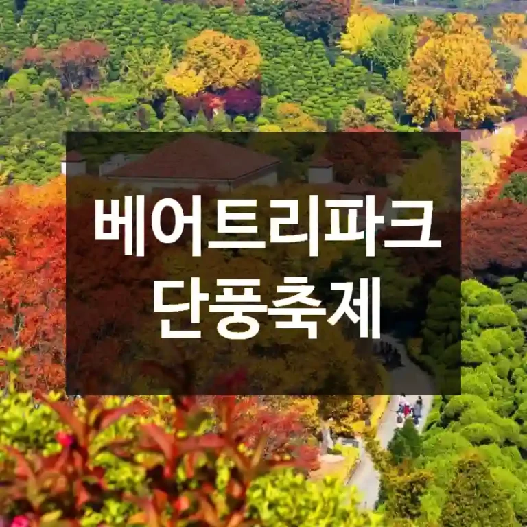 베어트리파크 단풍축제