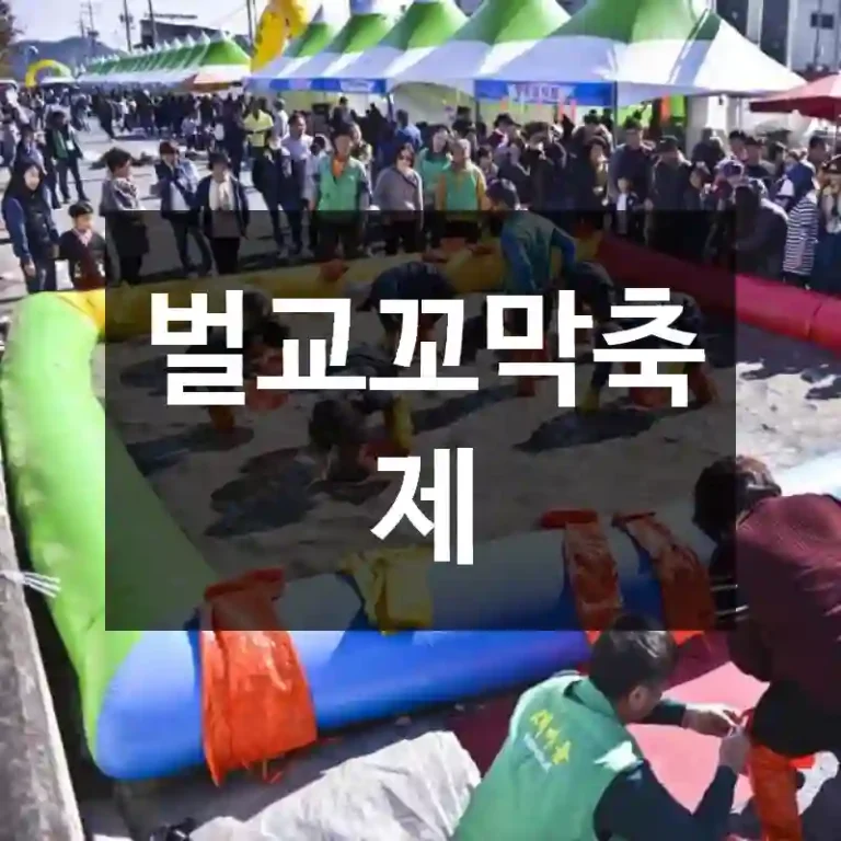 벌교꼬막축제