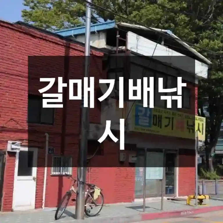 갈매기배낚시