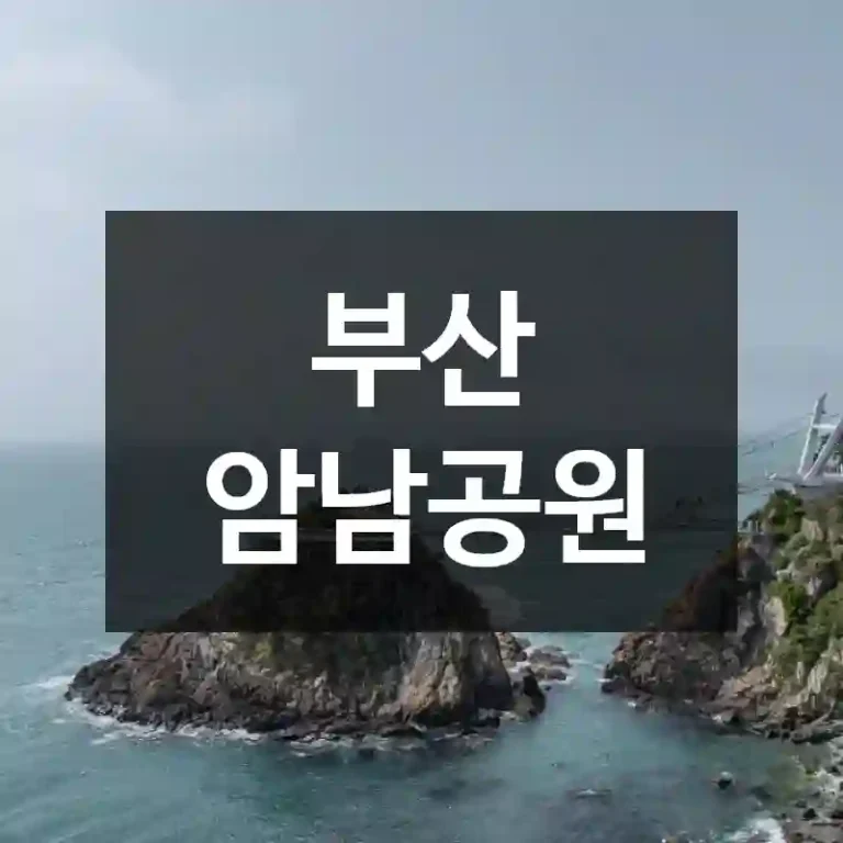 부산 암남공원