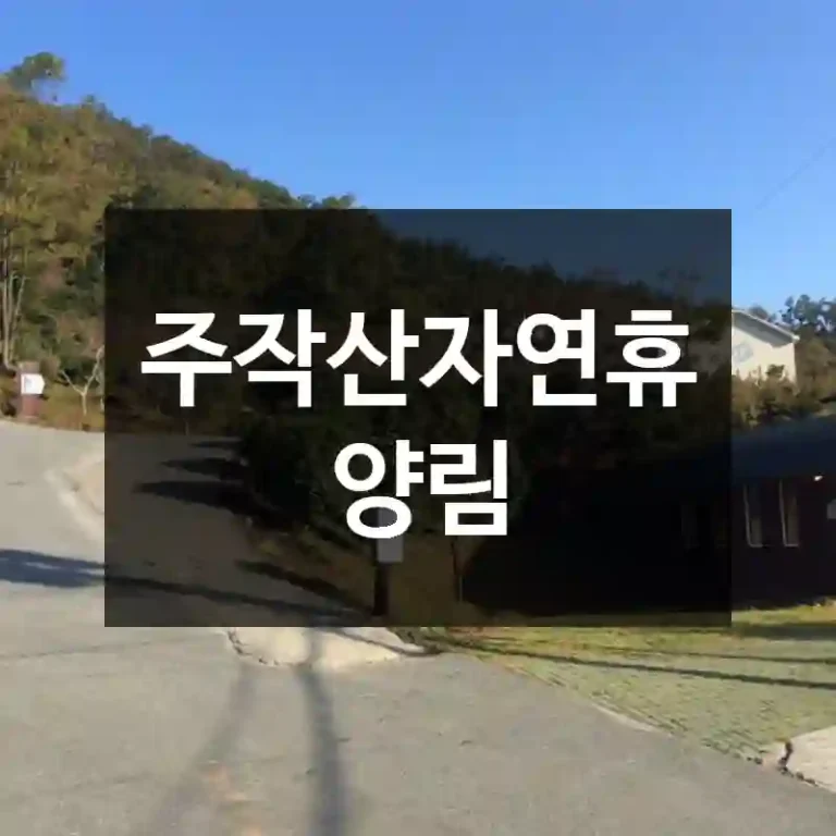주작산자연휴양림