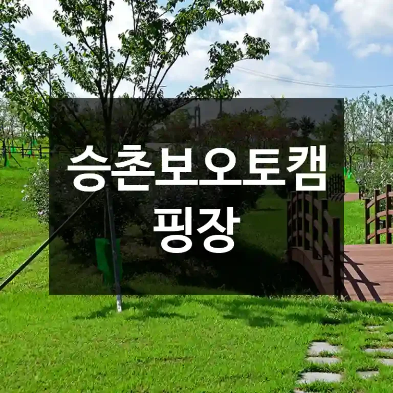 승촌보오토캠핑장