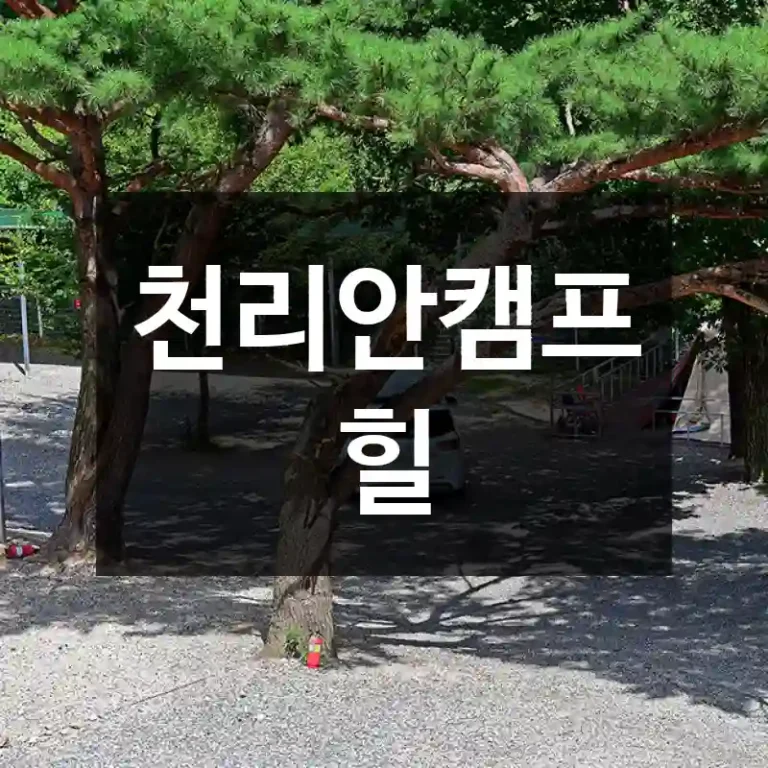 천리안캠프힐