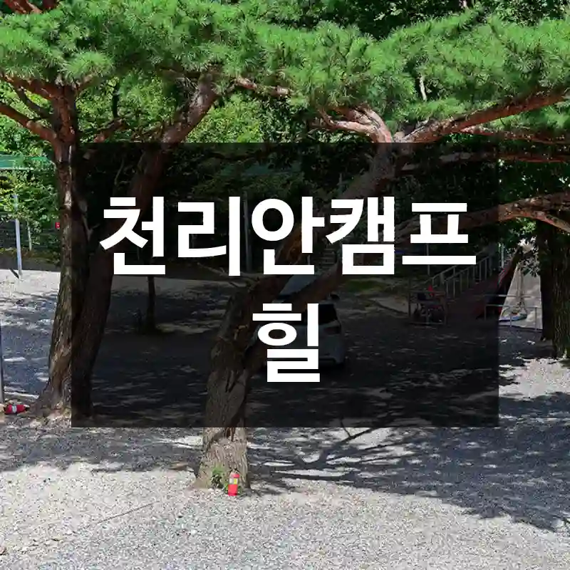 천리안캠프힐