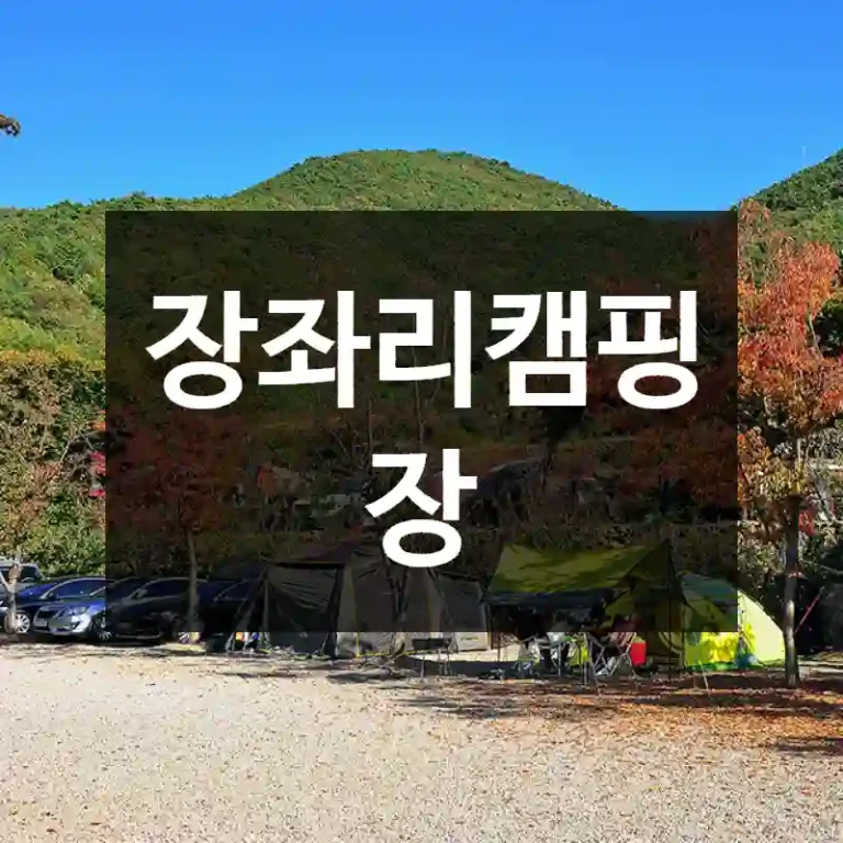 장좌리캠핑장