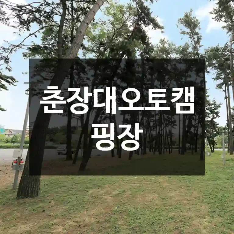 춘장대오토캠핑장