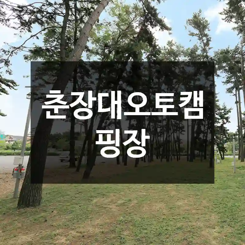 춘장대오토캠핑장