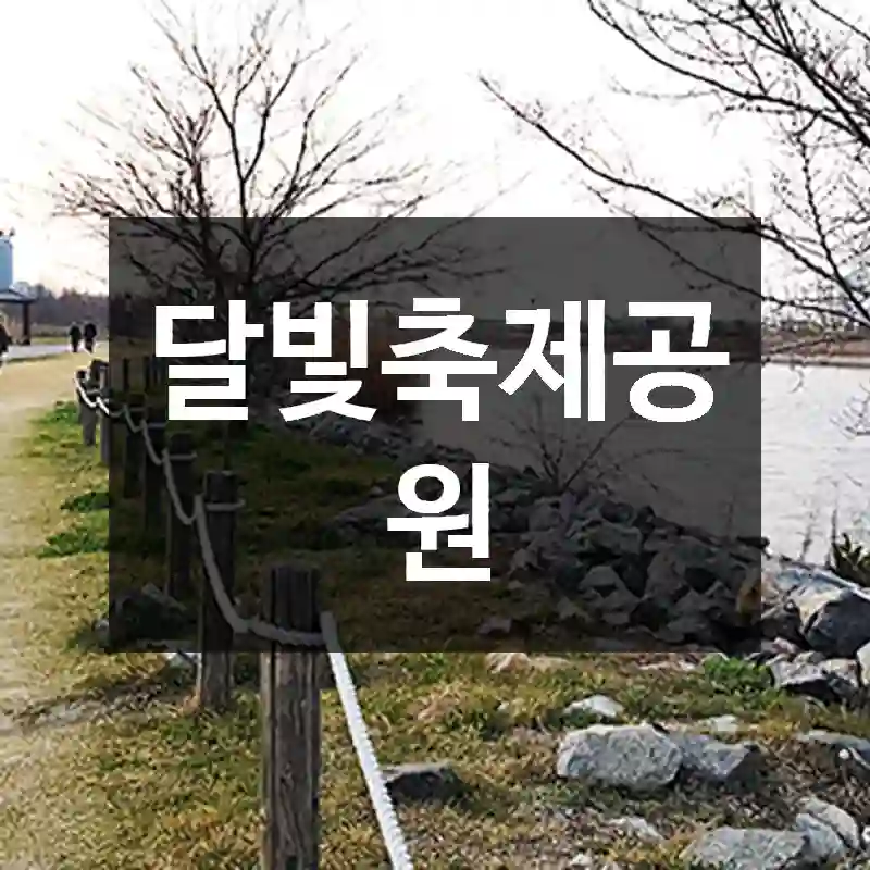 달빛축제공원