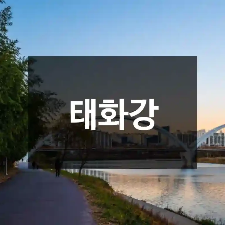 태화강