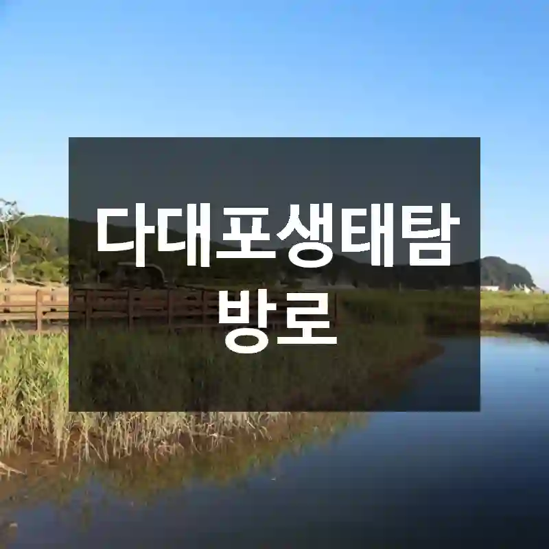 다대포생태탐방로