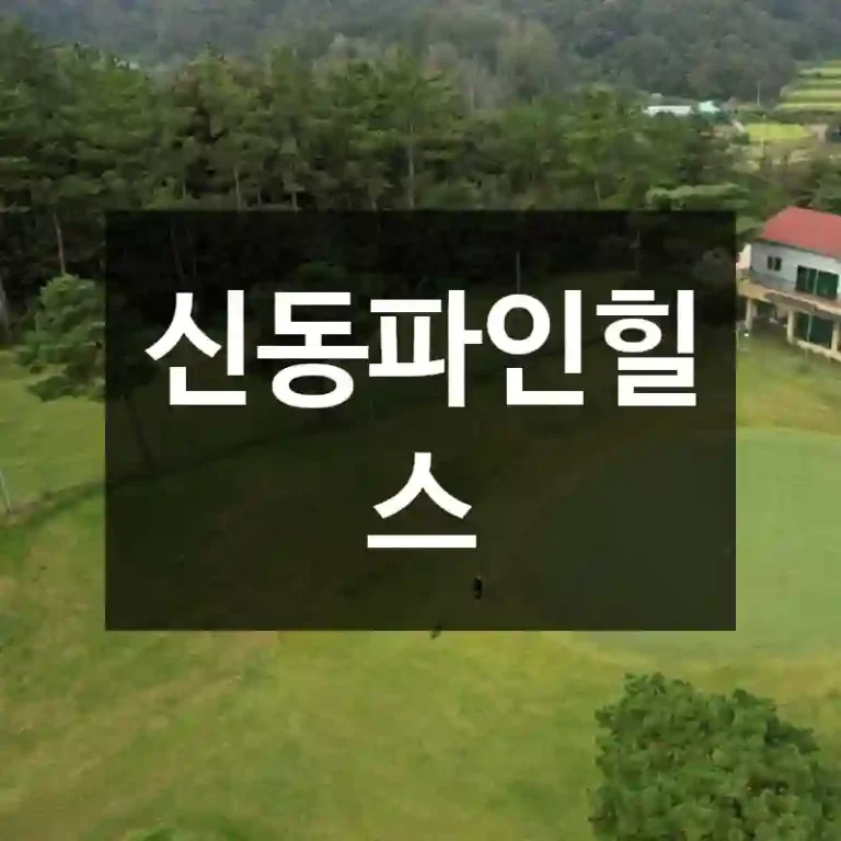 신동파인힐스