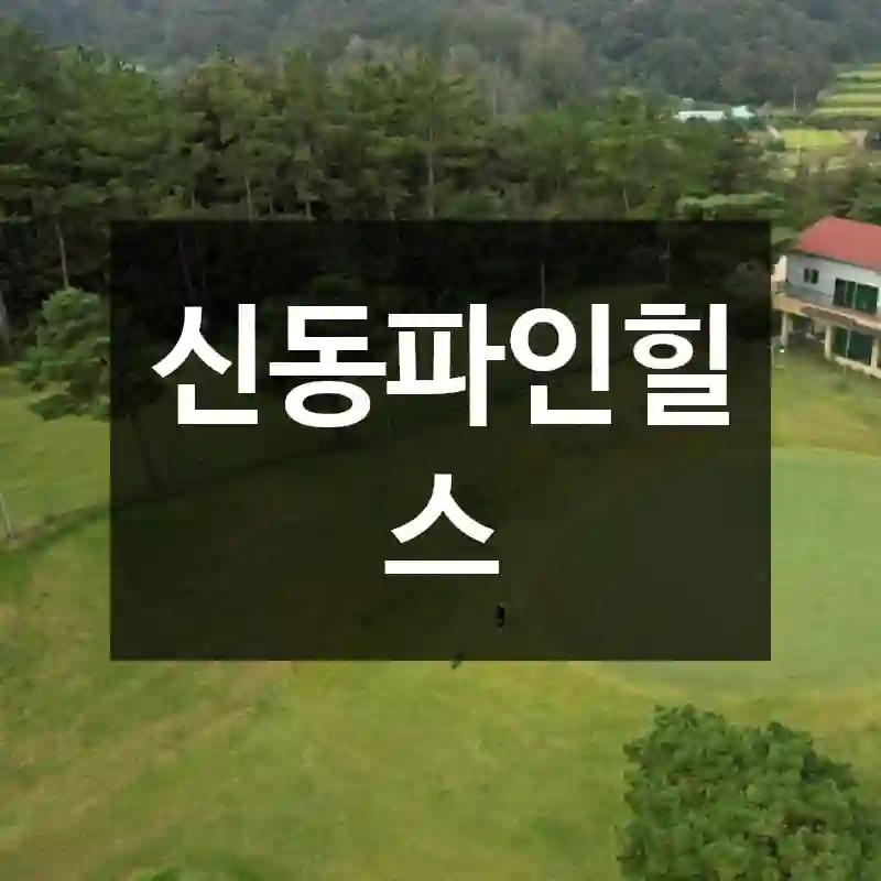 신동파인힐스