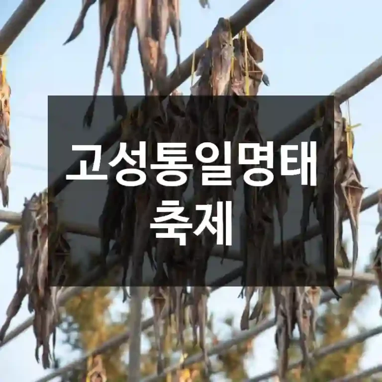 고성통일명태축제