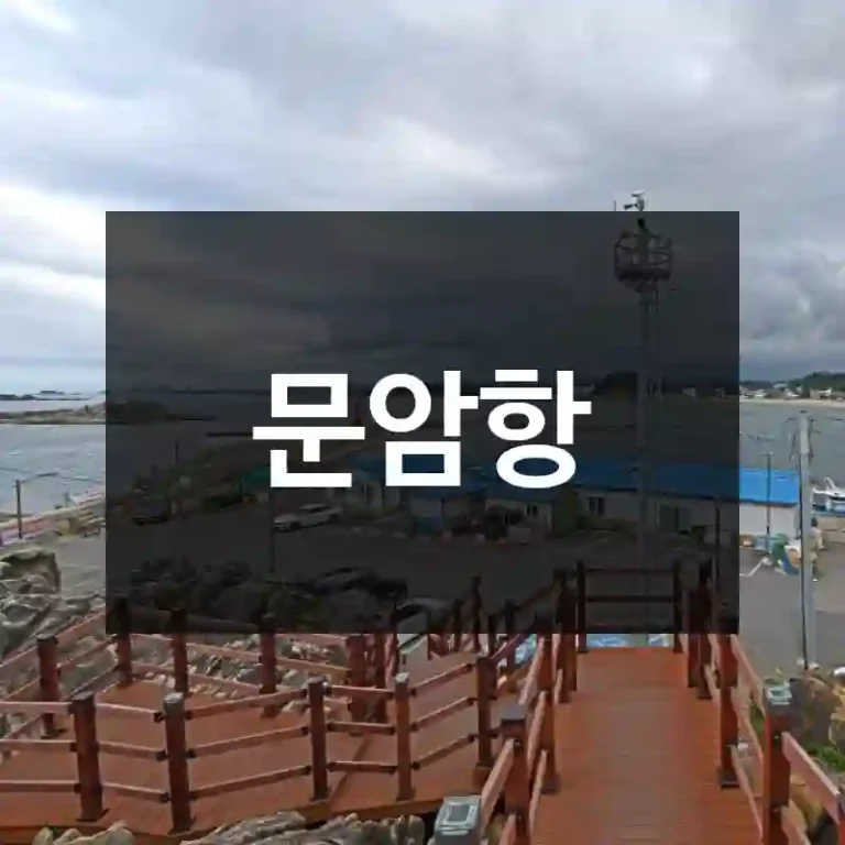 문암항